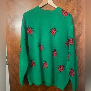CISOS Ladybug Sweater